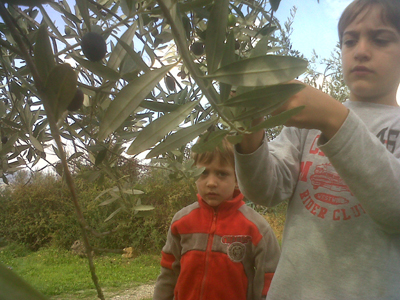 E se riportassimo l’agricoltura nelle scuole?