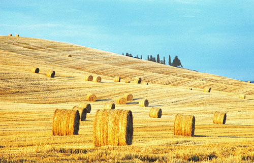 Toscana Cereali, “La Pac difenda paesaggio Val d’Orcia”