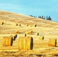 Credito IVA, le aziende agricole possono chiedere il rimborso