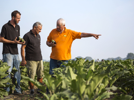 Accademia del Campo targata Basf, al via la nuova edizione