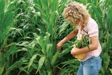 La nuova agricoltura. Con il lockdown più donne e giovani alla guida delle imprese