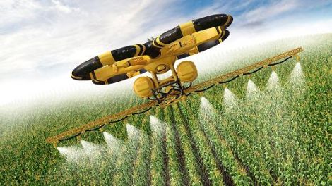 Innovazione in agricoltura, al via la sinergia tra il Gruppo BF Spa e l’Università Degli Studi Di Napoli Federico II