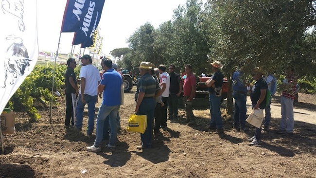 Enovitis in Campo: un successo oltre ogni aspettativa