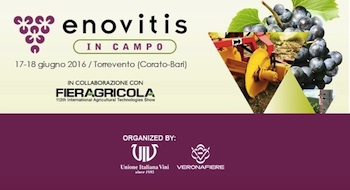Enovitis in Campo in Puglia