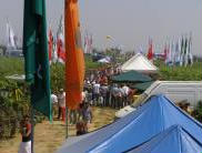 Enovitis in campo