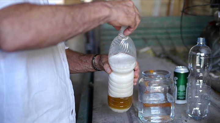 Tap Trap ecco le migliori esche da utilizzare per le mosche della frutta, vespe, calabroni e Drosophila Suzukii