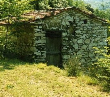 Imu per i comproprietari del Cd o Iap. Area edificabile o terreno agricolo?