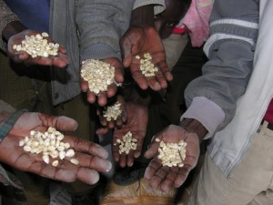 Confeuro, combattere la fame nel mondo con più agricoltura