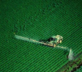 Riscaldamento globale: con un grado in più si perde 3-7% raccolto agricolo