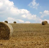 Novità fiscali per l’agricoltura: penalizzante aumento tassazione redditi da energie rinnovabili