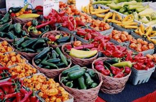 E-commerce di filiera corta. Cia sul web con Agricommy, primo consorzio agri-digitale