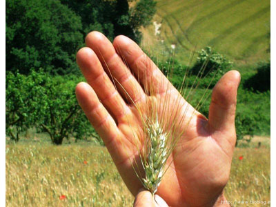 Scegli i tuoi alimenti, decidi il tuo futuro