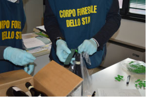 Vino taroccato. Brunello e Amarone made in Spagna, sequestrate 450 bottiglie in Danimarca