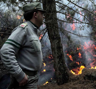 Corpo forestale Sicilia: bando da 27 milioni per nuovo sistema radiocomunicazioni
