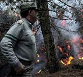 Corpo Forestale, incendi in calo grazie ad attività di contrasto