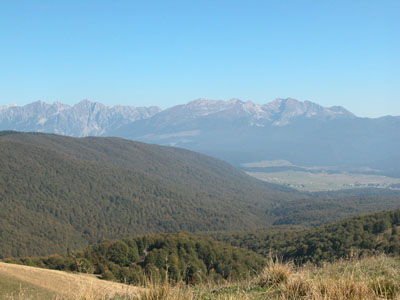 Filiera del legno, Pefc Italia aderisce a Assoscai