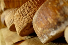 Solo colesterolo buono nel pecorino Dop. Vetrina europea per la tecnologia toscana applicata all’agricoltura