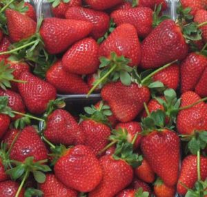 fragole.jpg