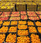 Produttori punto nevralgico della filiera secondo Confeuro