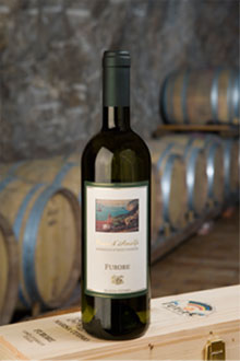 Profondamente eroico 2011 alle Cantine Marisa Cuomo