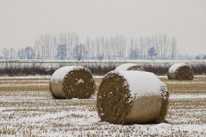gelo-neve-campi.jpg