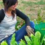 IMPRENDITORIA AGRICOLA FEMMINILE