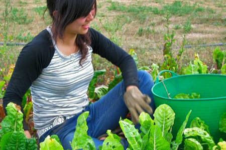 IMPRENDITORIA AGRICOLA FEMMINILE