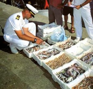 guardia-costiera-controlli-pesce-porto-w.jpg