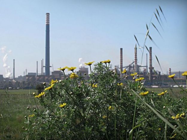 Ilva, gli agricoltori di Taranto non sono inquinatori