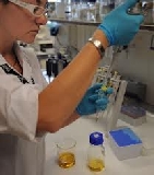 La ricerca in agricoltura è valore fondamentale