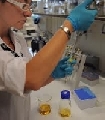 Più qualità nella ricerca in agricoltura con un documento di Aissa e presidi delle facoltà di Agraria