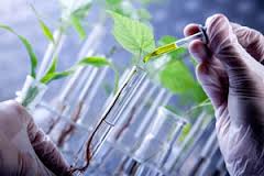Bio ResNova, da Pisa biotecnologie per decontaminare il suolo