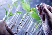 Ricerca in agricoltura fondamentale per ‘sfamare’ il mondo