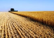Pubblicato Decreto Parametri, più chiarezza per norme ambientali ed agronomiche