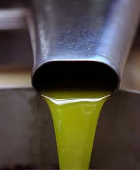 Export record per olio italiano. Germania e Giappone i maggiori consumatori