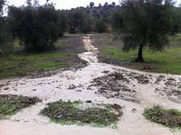 Maltempo, da Matera grido allarme agricoltori per rischio usura