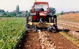 Allarme imprese in Basilicata, chiudono due al giorno