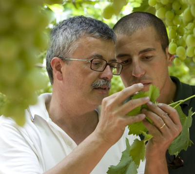 Sostenibilità e innovazione nei fatti. Cresce l’impegno di Bayer CropScience per l’agricoltura italiana