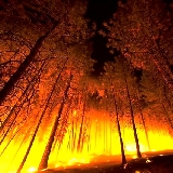 Incendi: da oggi massima allerta, vietato accendere fuochi. Salvadori invita alla prudenza