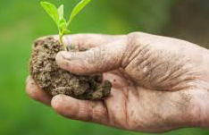 De Castro: “Agricoltura è unico settore che sta crescendo”