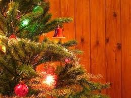 Alberi di Natale, per Confagricoltura bene le vendite nonostante la crisi