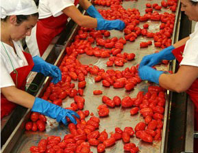 Ismea, prosegue calo di fiducia presso industria alimentare