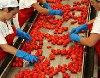 Prezzi agricoli, il 2012 fa segnare un +2,1%