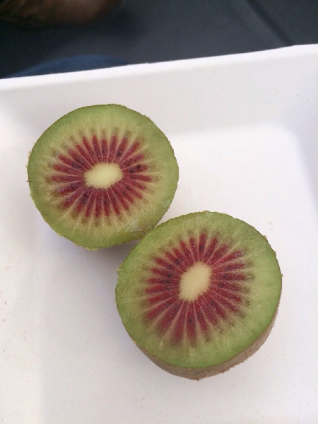 Il Kiwi rosso arriva in Italia. Dal 2016 coltivati mille ettari