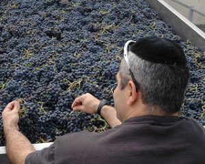 kosher1.jpg