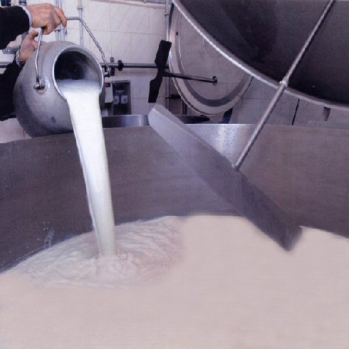 Quote latte. Per Confagricoltura: «A pagare non dovranno essere i soliti noti»