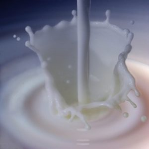 latte_14.jpg