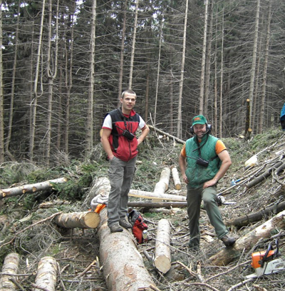 Lavori in ambito forestale. Convegno ad Abetone il 23 marzo