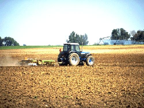 Contrattazione. Fai, Flai e Uila approvano linee di indirizzo per settore agroalimentare