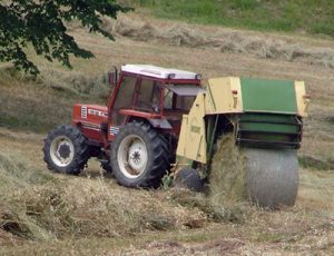lavoro_campagna.jpg
